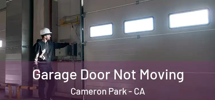  Garage Door Not Moving Cameron Park - CA